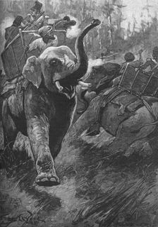 The Frightened Elephants Rushed Back Crashing Through The Forest 1895, (1902). Artist: Stanley Llewellyn Wood