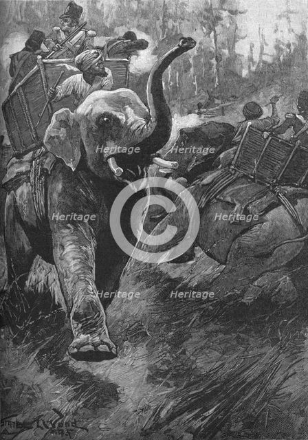 'The Frightened Elephants Rushed Back Crashing Through The Forest', 1895, (1902). Artist: Stanley Llewellyn Wood.