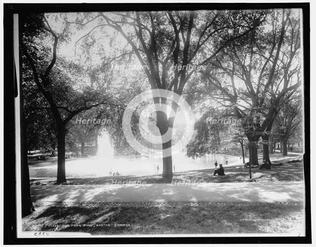 The Frog pond, Boston Common, c1899. Creator: Unknown.