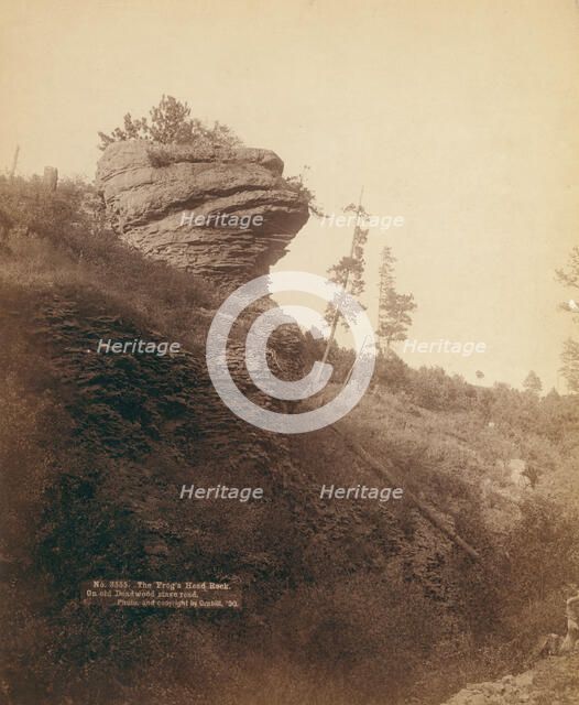 The Frog's Head Rock On old Deadwood stage road, 1890. Creator: John C. H. Grabill.