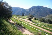 The gymnasium at Delphi, Greece. Creator: Samuel Magal