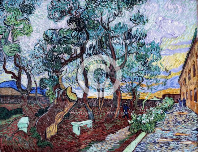 The garden of the hospital at Saint-Rémy, 1889.