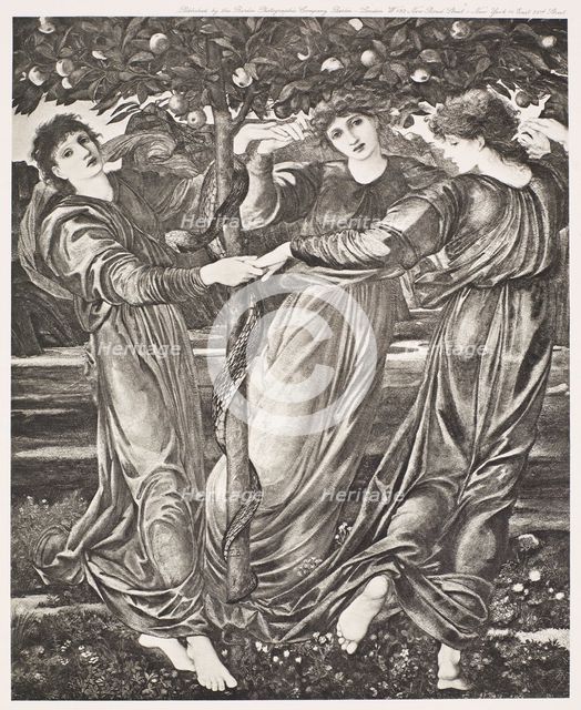The Garden of the Hesperides, c1860s, (1900). Creator: Unknown.