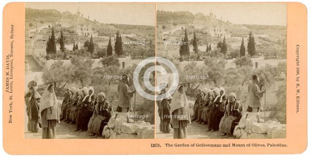 The garden of Gethsemane and the Mount of Olives, Palestine, 1898.Artist: BW Kilburn