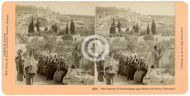 The garden of Gethsemane and the Mount of Olives, Palestine, 1898.Artist: BW Kilburn
