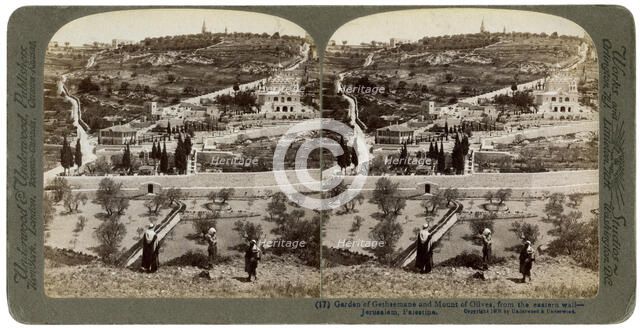 The Garden of Gethsemane and the Mount of Olives, Palestine, 1908.Artist: Underwood & Underwood