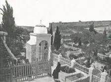 The Garden of Gethsemane, Jerusalem, Palestine, 1895. Creator: W & S Ltd