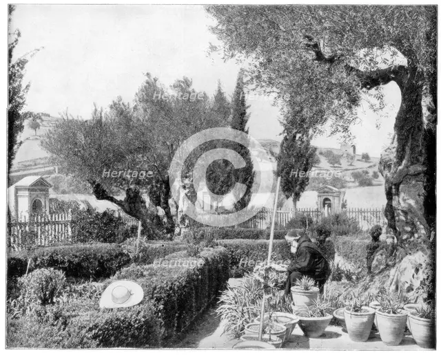 'The Garden of Gethsemane, Palestine', late 19th century.Artist: John L Stoddard