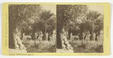 The Garden of Olives, Jerusalem, 1860/85. Creator: Felix Bonfils