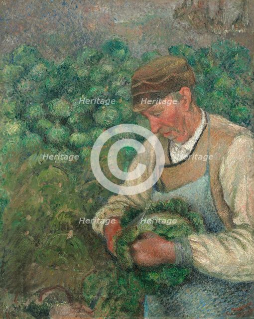 The Gardener - Old Peasant with Cabbage, 1883-1895. Creator: Camille Pissarro.