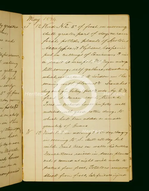 The gardening diary of William Cresswell, May 12-13 1874, Audley End House, Essex. Artist: William Cresswell