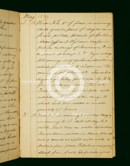 The gardening diary of William Cresswell, May 12-13 1874, Audley End House, Essex. Artist: William Cresswell