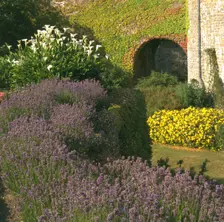The gardens at Walmer Castle, Deal, Kent, 1996. Artist: J Bailey