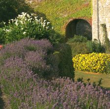 The gardens at Walmer Castle, Deal, Kent, 1996. Artist: J Bailey