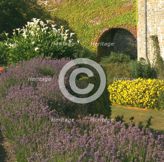 The gardens at Walmer Castle, Deal, Kent, 1996. Artist: J Bailey
