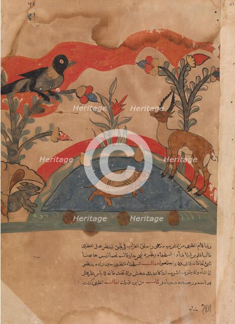 The Gazelle Becomes Friends with the Crow, the Mouse, and the Tortoise..., 18th century. Creator: Unknown.