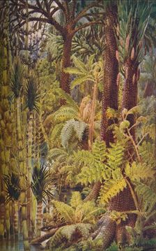 The gigantic vegetation of the Carboniferous Age, 1907