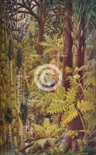 The gigantic vegetation of the Carboniferous Age, 1907.  Artist: Unknown.