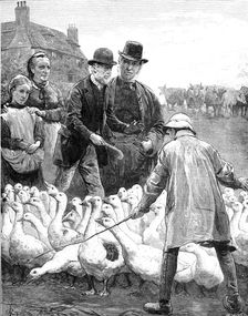 The Goose Club Committee - drawn by A. E. Emslie, 1881. Creator: Eugène Froment