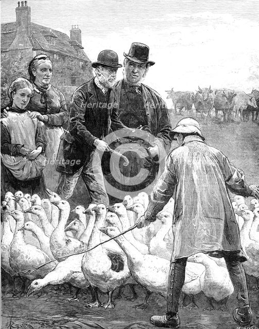 The Goose Club Committee - drawn by A. E. Emslie, 1881. Creator: Eugène Froment.