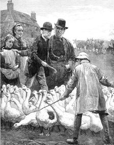 The Goose Club Committee - drawn by A. E. Emslie, 1881. Creator: Eugène Froment