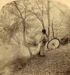 The Golden Days of Autumn in Japan 1896. Creator: Underwood & Underwood