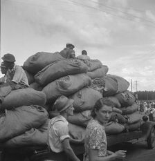 The "golden leaf," already graded by the farmers, sorted and wrapped..., Douglas, Georgia, 1938. Creator: Dorothea Lange