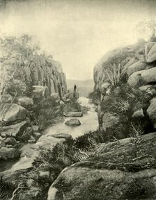 The Gorge, Buffalo Falls, Victorian Alps 1901. Creator: Unknown