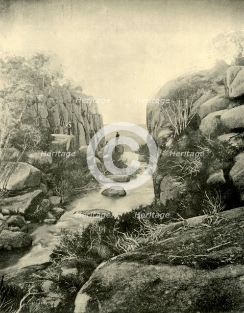 'The Gorge, Buffalo Falls, Victorian Alps', 1901. Creator: Unknown.