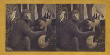 The Gorilla, from Africa, supposed to be our next of kin., 1870. Creator: Eugene S. M. Haines