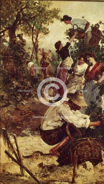  'The Grape harvest, 1900. Oil by F.M. Moles.