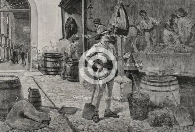 The grape harvest in Jerez, Andalusia, Spain, 1898.  Creator: Arturo Carretero y Sánchez.