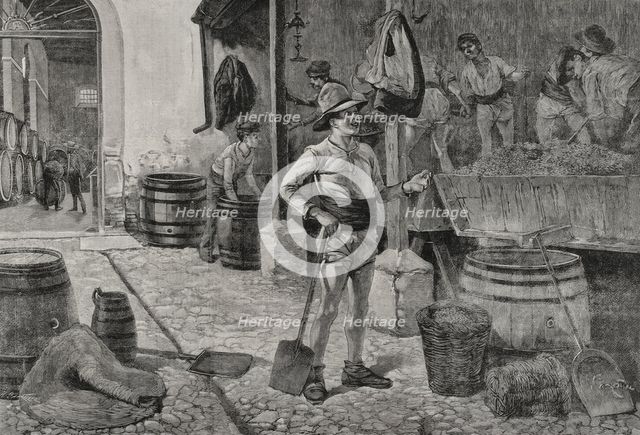 The grape harvest in Jerez, Andalusia, Spain, 1898.  Creator: Arturo Carretero y Sánchez.