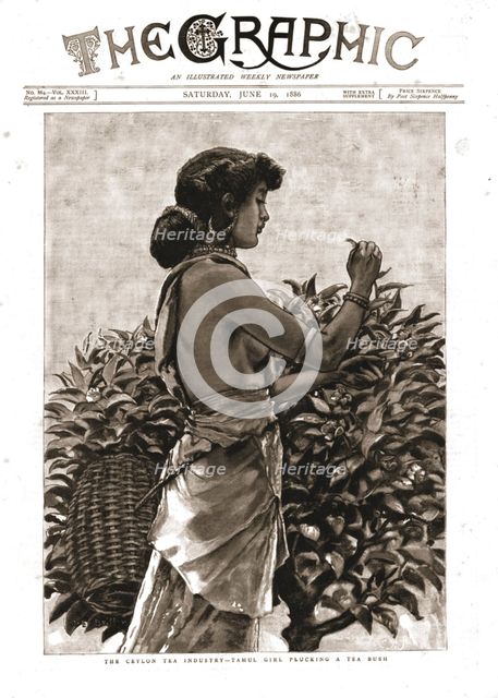 'The Graphic, Front Cover June 19th. 1886', 1886.  Creator: Unknown.