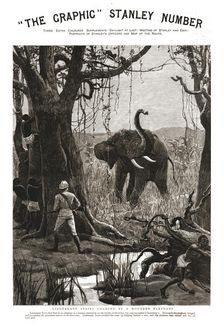 The Graphic Stanley Number; Lieutenant Stairs Charged by a Wounded Elephant 1890. Creator: Unknown