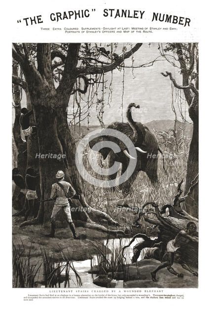 'The Graphic' Stanley Number; Lieutenant Stairs Charged by a Wounded Elephant', 1890. Creator: Unknown.