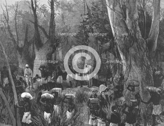 'The Graphic' Stanley Number; The Vanguard of the Expedition Marching throughthe Primaeval Forest',  Creator: Unknown.