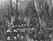 The Graphic Stanley Number; The Vanguard of the Expedition Marching throughthe Primaeval Forest Creator: Unknown