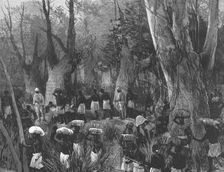 The Graphic Stanley Number; The Vanguard of the Expedition Marching throughthe Primaeval Forest Creator: Unknown