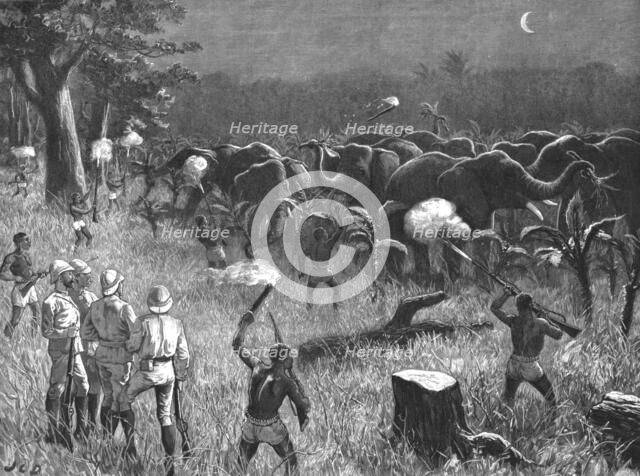 'The Graphic' Stanley Number; Zanzibaris Scaring Elephants which were destroying a Banana Grove near Creator: Unknown.