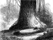 The Grave of Mr. Keith Johnston, at Beho Beho, East Central Africa, 1880. Creator: Unknown