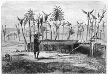 The Grave of a Lushai Chief c1891. Creator: James Grant