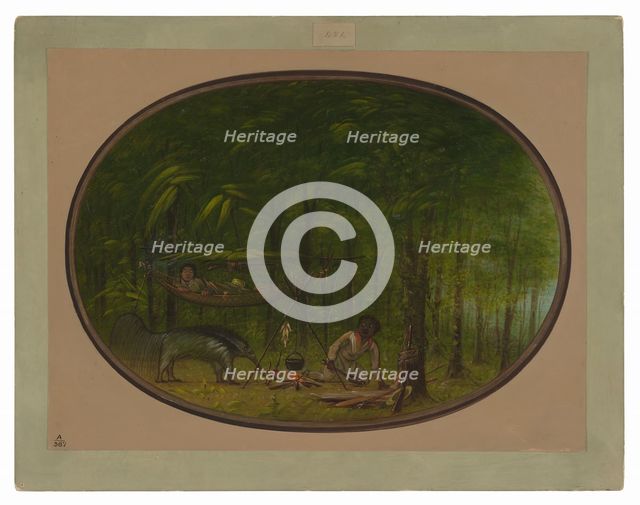 The Great Ant-Eater, 1854/1869. Creator: George Catlin.