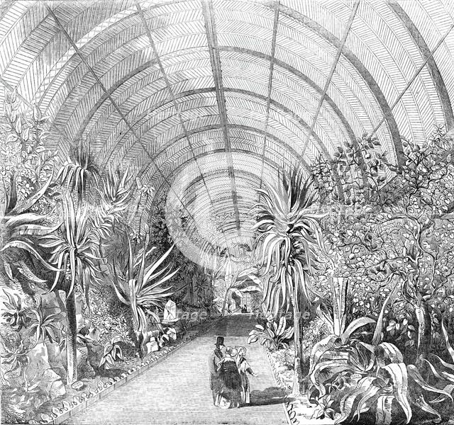 The great Chatsworth Conservatory - the interior, from the Central Walk, 1844. Creator: Unknown.