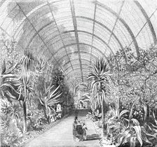 The great Chatsworth Conservatory - the interior, from the Central Walk, 1844. Creator: Unknown