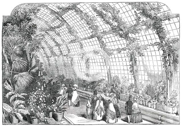 The Great Conservatory in the Gardens of the Horticultural Society, at Chiswick, 1850. Creator: Unknown.