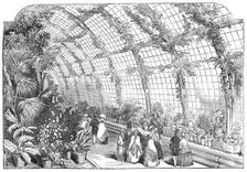 The Great Conservatory in the Gardens of the Horticultural Society, at Chiswick, 1850. Creator: Unknown