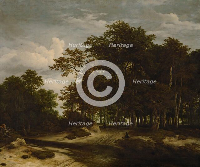 The Great Forest, c. 1660. Artist: Ruisdael, Jacob Isaacksz, van (1628/29-1682)