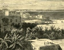 The Great Harbour at Alexandria 1890. Creator: Unknown