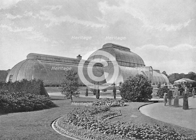 'The Great Palm House, Kew Gardens', c1896. Artist: York & Son.